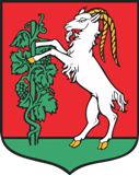 Lublin logo